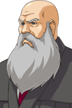 经常的改变……那才逆转裁判审判长落槌逆转裁判长闲逆转裁判法官表情