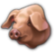 Pigs.png