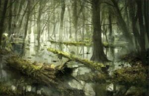 Darek Zabrocki Swamps of the Neck.JPG