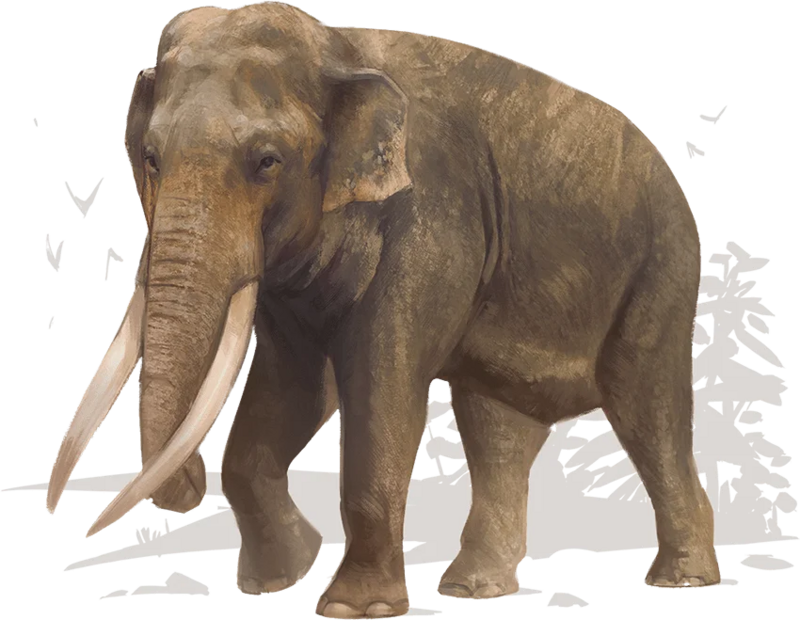 Appendix A: Animals 动物 - 龙与地下城TRPG - 灰机wiki - 北京嘉闻杰诺网络科技有限公司