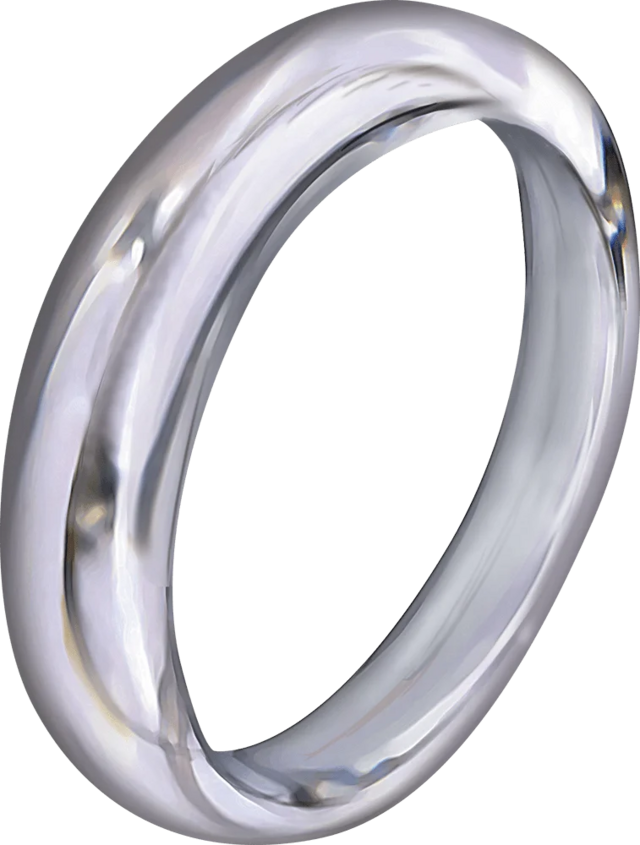文件:Items-DMG-Ring of Invisibility.webp - 龙与地下城TRPG - 灰机wiki - 北京嘉闻杰诺网络 ...