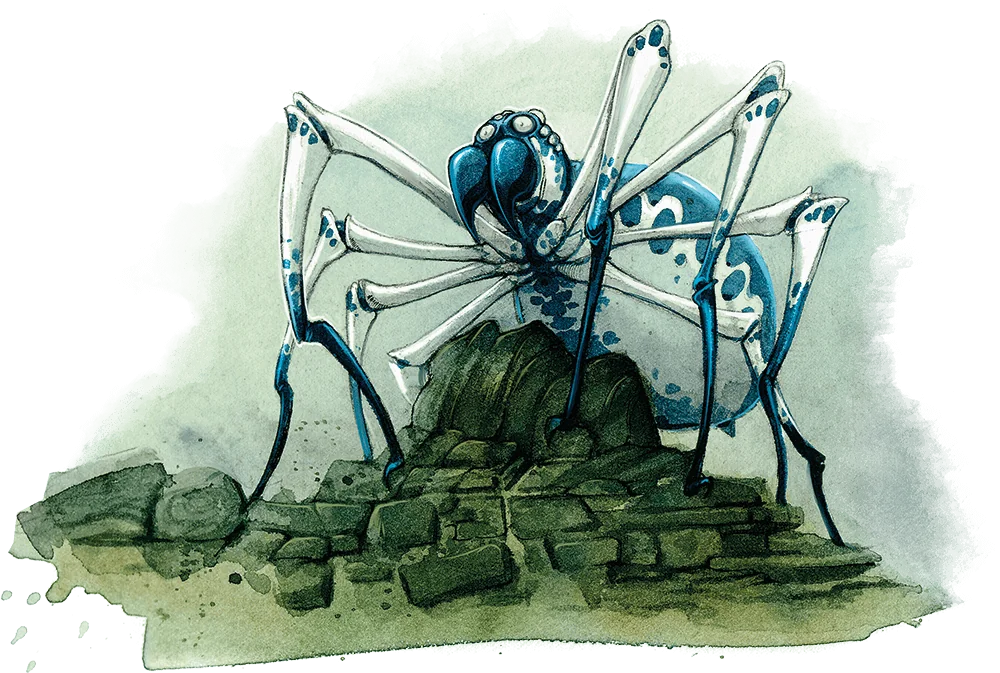 文件:Bestiary-MM-Phase Spider 2.webp - 龙与地下城TRPG - 灰机wiki - 北京嘉闻杰诺网络科技有限公司