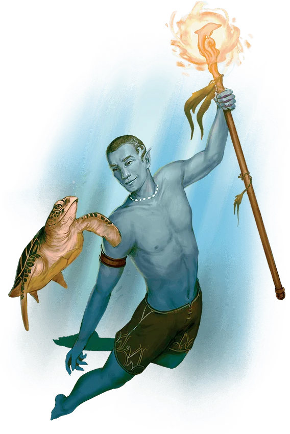 文件:Races-MPMM-Sea Elf.webp - 龙与地下城TRPG - 灰机wiki - 北京嘉闻杰诺网络科技有限公司