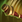 Spellicons monkey king boundless strike.png