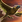 Spellicons beastmaster call of the wild hawk.png
