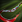 Spellicons pudge meat hook.png