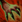 Spellicons life stealer ghoul frenzy.png
