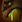 Spellicons beastmaster boar poison.png