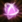 Spellicons invoker alacrity.png