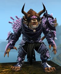 Crystal Arbiter Outfit charr male front.jpg