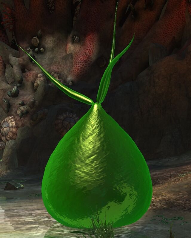  2 2 2 2 wiki