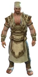 Cook's Outfit norn male front.jpg