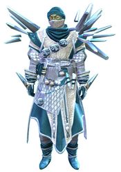 Crystal Nomad Outfit sylvari male front.jpg