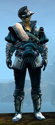 Winter Solstice Outfit sylvari male front.jpg