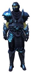 Shadow Assassin Outfit sylvari male front.jpg