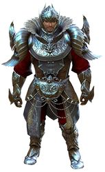Ceremonial Plated Outfit norn male front.jpg