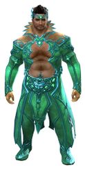 Daydreamer's Finery Outfit norn male front.jpg