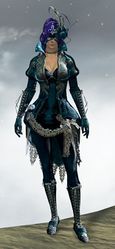 Winter Solstice Outfit norn female front.jpg