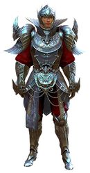 Ceremonial Plated Outfit human male front.jpg