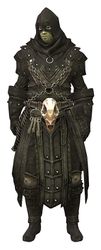 Executioner's Outfit sylvari male front.jpg
