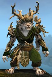 Nature's Oath Outfit charr female front.jpg