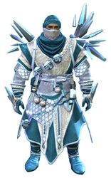 Crystal Nomad Outfit norn male front.jpg