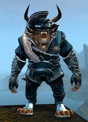 Winter Solstice Outfit charr male front.jpg