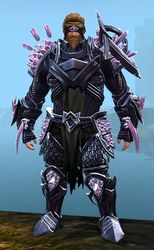 Crystal Arbiter Outfit norn male front.jpg