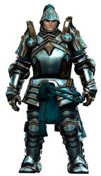 Royal Guard Outfit norn male front.jpg