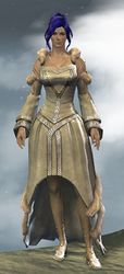 Wedding Attire Outfit norn female front.jpg