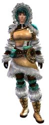 Arctic Explorer Outfit norn female front.jpg