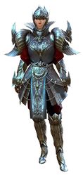Ceremonial Plated Outfit norn female front.jpg