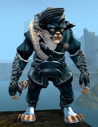 Winter Solstice Outfit charr female front.jpg