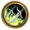 Icon rogue.png