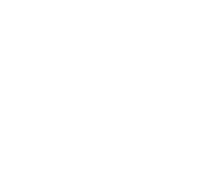 Team Cherry Logo.png