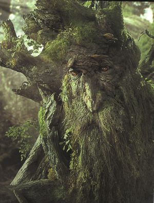 Treebeard.jpeg