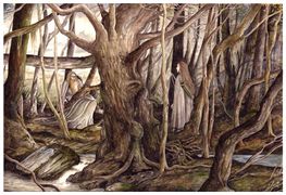 Peter Xavier Price - Searching Fangorn Forest.jpg
