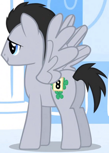 Lucky Clover Pegasus ID S01E16.png