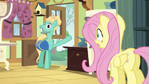 Fluttershy looks at Zephyr Breeze in shock S6E11.png