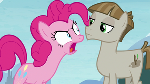 Pinkie Pie angrily calling Mudbriar wrong S8E3.png