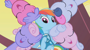 Rainbow Dash in the center of her team S1E11.png