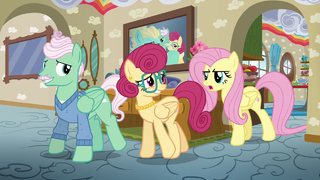 Fluttershy disapproves of her parents' idea S6E11.png