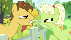Young Grand Pear vs. young Granny Smith S7E13.png