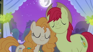 Bright Mac and Pear Butter happily wed S7E13.png