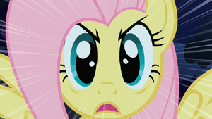 Fluttershy Stare S01E17.png