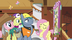 Fluttershy explains her vision to the experts S7E5.png