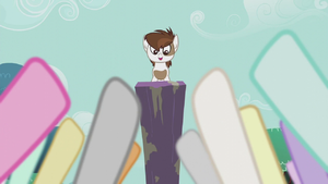 Foals with hooves up for Pipsqueak S5E18.png