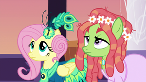 Fluttershy and Tree Hugger look up at Discord S5E7.png