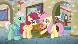 Fluttershy "you do everything for him!" S6E11.png