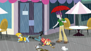 Sunset Shimmer trips over a dog leash SS6.png